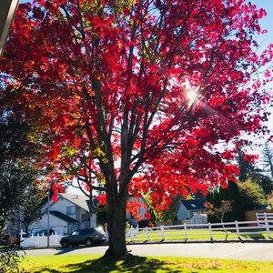 Meet your Posher, Jo